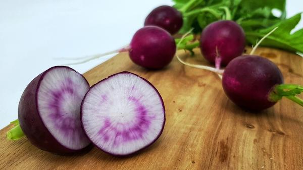 Текстура неоднородная. У одних корнеплодов мякоть очень плотная, хрустящая, сочная, у других – более мягкая и преимущественно волокнистая