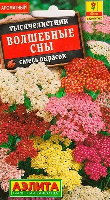 Вот такой. У меня все расцветки получились (кроме желтой), но я и не все семена из пачки сеяла :) Всхожесть была 100%