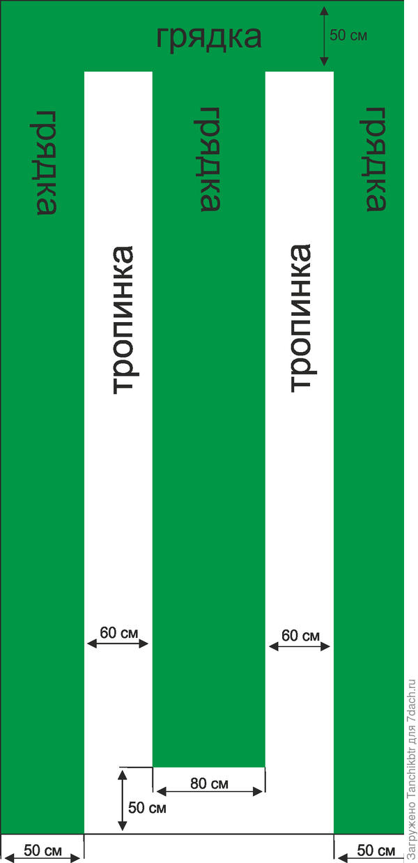 Остановилась на таком расположении и размерах грядок и проходов