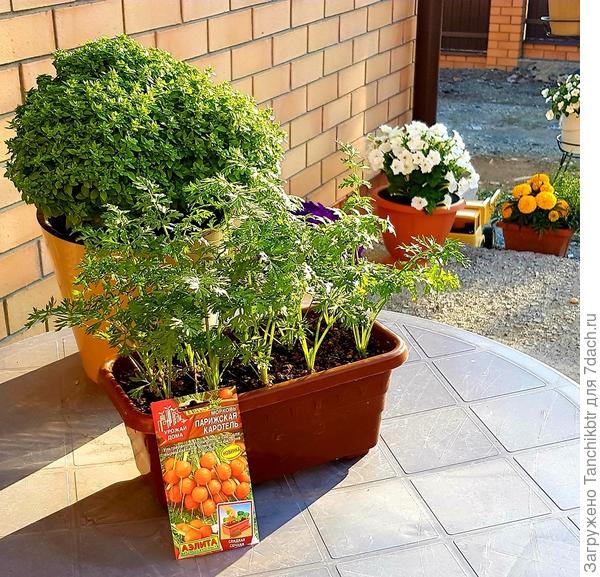 На заднем фоне белое &quot;убожество&quot;, виден край синего (он был еще хуже, чем белый). Вот она и &quot;Водопадия&quot; от Аэлиты