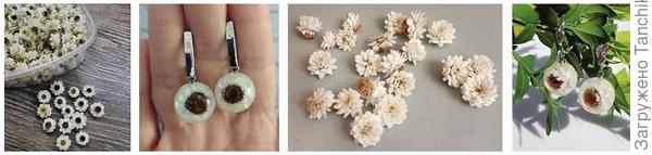Что касается популярных сухоцветов, используемых при работе со смолой, это: аммобиум, бессмертник, бриза, брум блум, гелихризум, гипсофила, гликсия, душица, лён, одуванчик, озотамнус, очиток, роза статица, топинамбур. Если не против, покажу свои подборки из перечисленных. Начнем с аммобиума