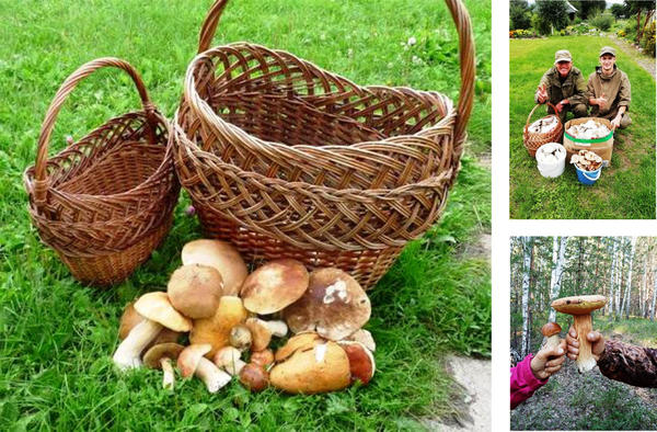 Корзина для опытного и заядлого грибника – отличный подарок