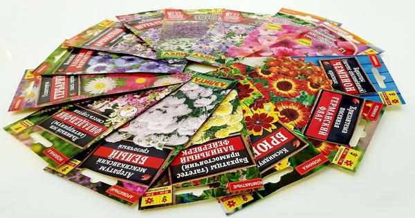 Новинки семян цветов