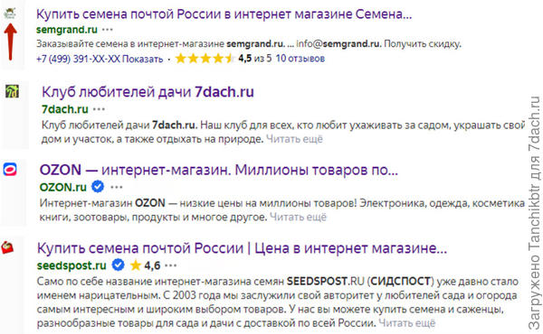 Фото 1: фавикон сайта несколько теряется в сниппете