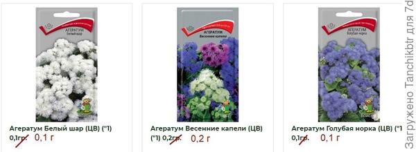 Фото 7: слово "граммы" сокращается, как "г" и никак иначе
