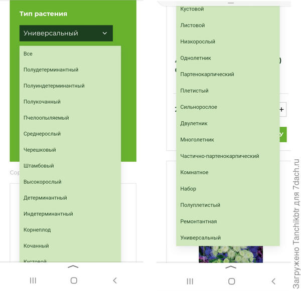 Фото 10: на моб. устройстве категории умещаются минимум в 2 экрана, приходится скроллить, а затем возвращаться в начало, чтобы применить фильтр