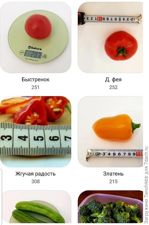 До сих пор не почистила галерею(( жалко удалять безвозвратно, вдруг пригодятся))) хотя....