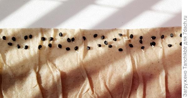 Семена начинают проклевываться менее 24 ч