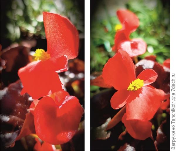 Вся переливается в лучах солнца