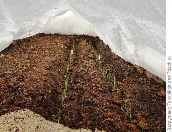 Чувствую себя Капитаном Очевидность. Странно такое рекомендовать Елене – матёрому практику))