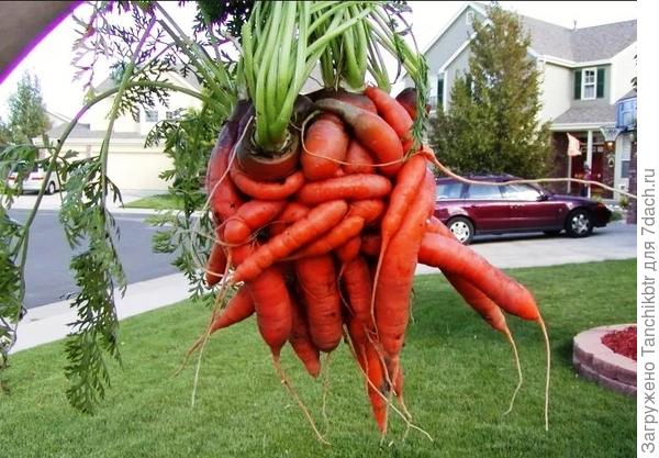 Всех обняла