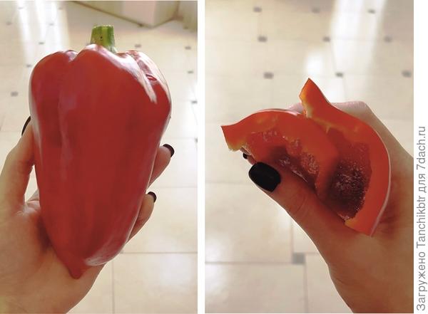 и красный (на фото конусовидный, но на кусту одновременно растут и кубовидные перцы), очень вкусный и сочный