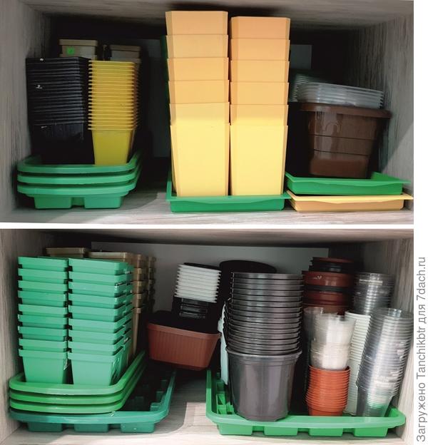 Моё &quot;богатство&quot;