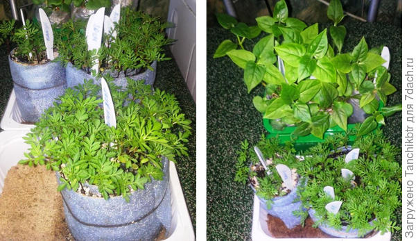 Да-да, знаем-с такой способ 👍 тоже была подобное практиковала 😀