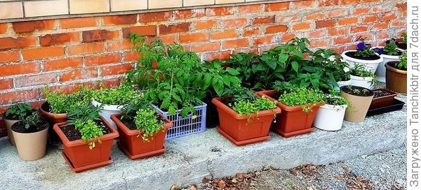 Коричневые квадратные кашпо – на 8 и 12 л