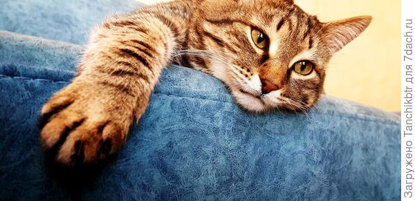 пока как-то по-февр-р-р-альски лениво, а не по-мар-р-р-товки бодрО ...