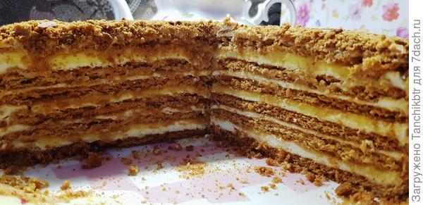 Еле урвала момент, чтобы сфотографировать в разрезе (уже не до презентации было 🤓)