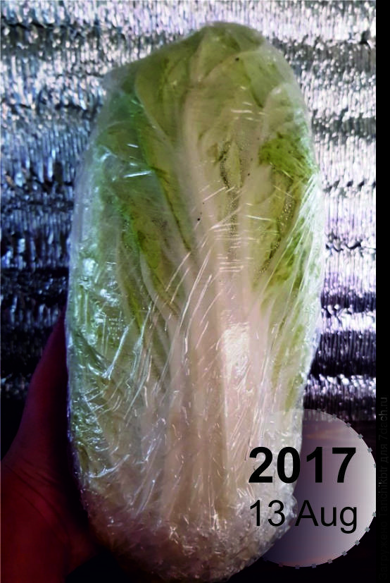 Случайно нашла фото аж 2017 г (представляете, сколько уже "дружу" с пекинкой 😂 по факту, конечно, еще раньше), это Ча Ча – кочаны "кони-конские", я такие не люблю