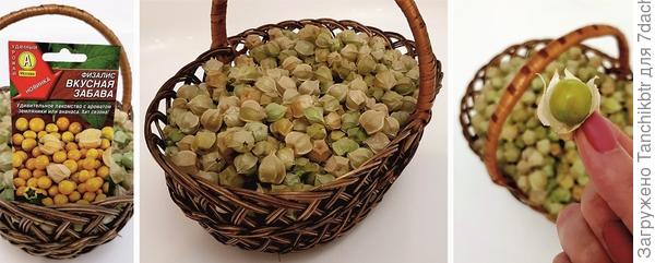 Дозаривается в тепле тоже отлично. Часть урожая случайно "проворонила", чуть не до изюма ягодки высохли (оставила миску в котельной и благополучно забыла), так оторваться было невозможно 😀))) Чистить, правда, сложно