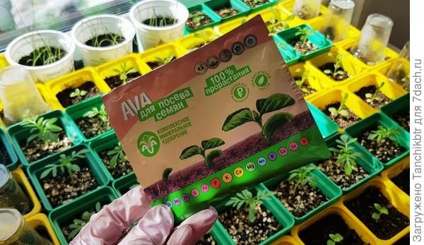 Хорошо, про AVA написала. Не подвела память, нашла в закромах такие два пакетика. Что ж, буду проверять 😀 тем более, как нельзя кстати, цветочная рассада сама почти пополам разделилась
