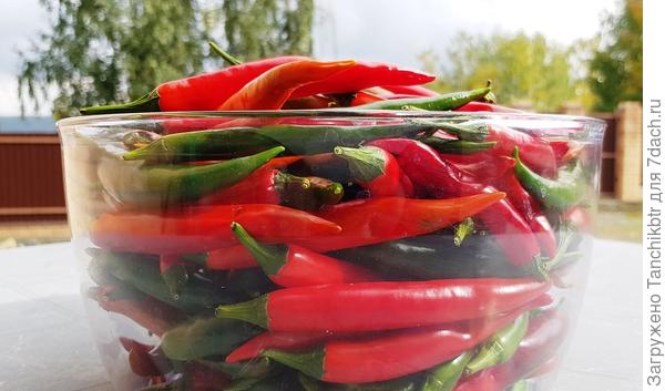 Правда, данный рецепт с моим количеством перца слабо справится 😂 Так что по ходу дела присматриваю и другие рецепты. А то снова затяну и... выкину 🙈 🙉 🙊