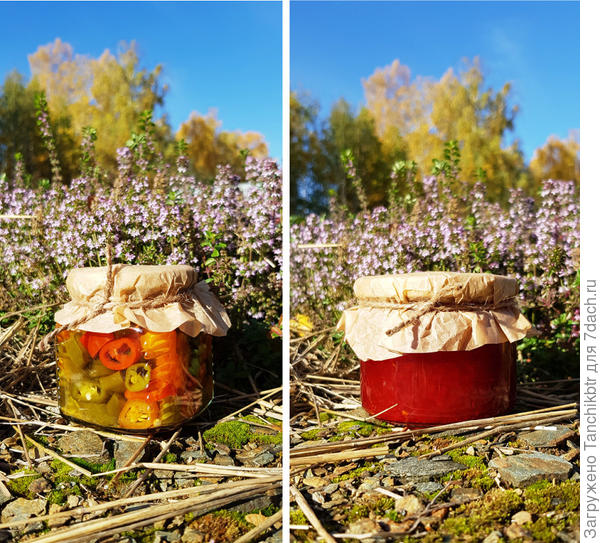 Галина, спасибо за проверенные рецепты, сделала и маринованный жгучий перец колечками, и варенье сварила! Удивительно, всё получилось с первого раза, без проволочек и неприятных сюрпризов 👍