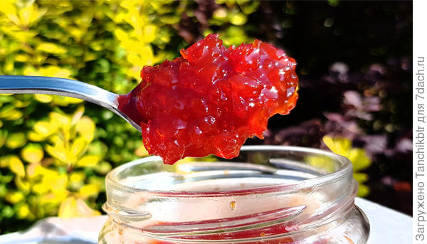 Цвет у варенья из острого перца, конечно, потрясающий, на солнце переливается. Как и вкус не подкачал (осталось небольшое количество после варки, такого объема баночки в хозяйстве не нашлось). По вкусу острый перец виртуозно превратился в красную смородину 😊 😎