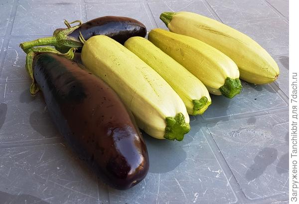 Первый долгожданный урожай, собранный в десятых числах июня