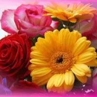 Спасибо, Наталья!