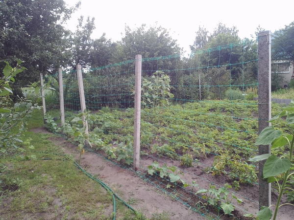 в начале сезона