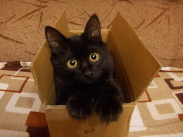 пока ездит на дачу вот так))