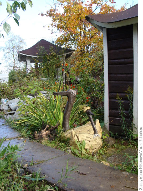 влюбленная парочка)