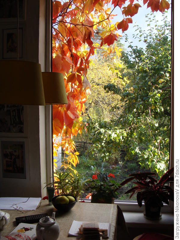 Осенняя сказка за окном