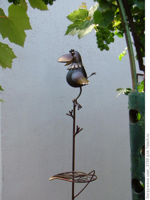 Ворон здешний. Подставка.