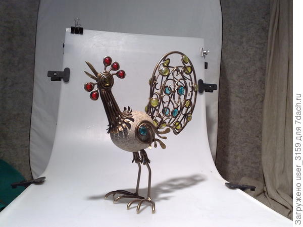 А этот петушок уже спустился с крыши.