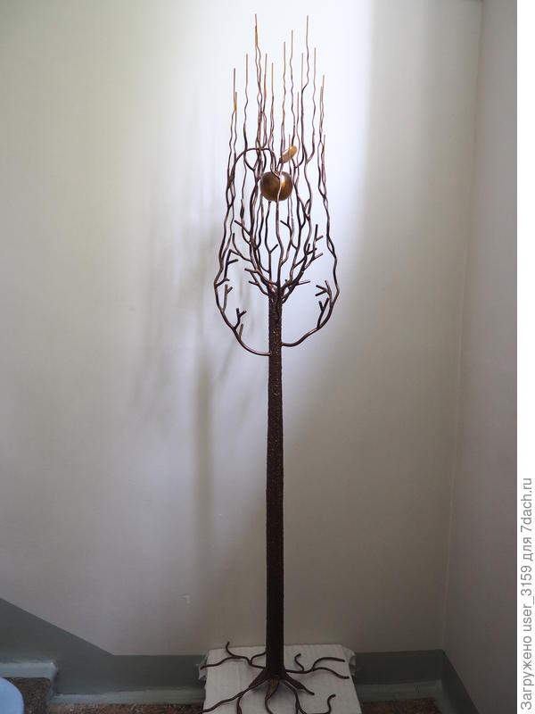 Древо жизни.