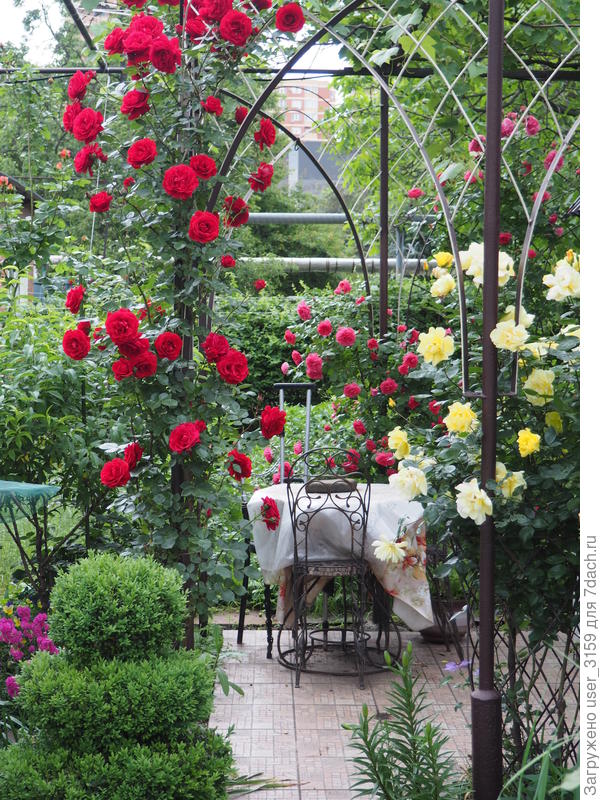 Вот такой сад летом.