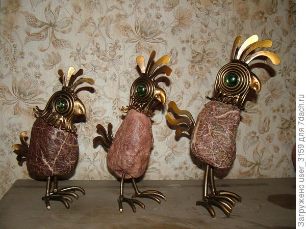 Семейка попугаев.