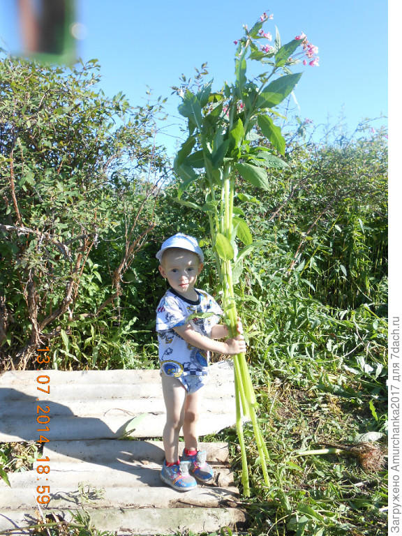 и вот такие букеты бывают)