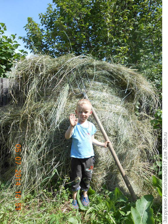 наш трудяга!