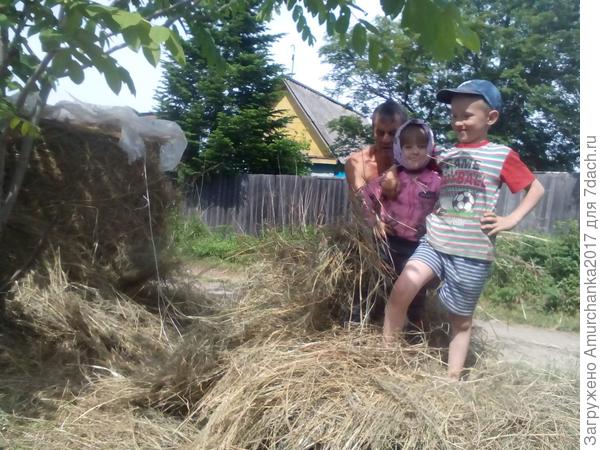 привезли сено,задача развезти по участку