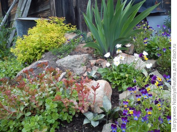 А это моя горка