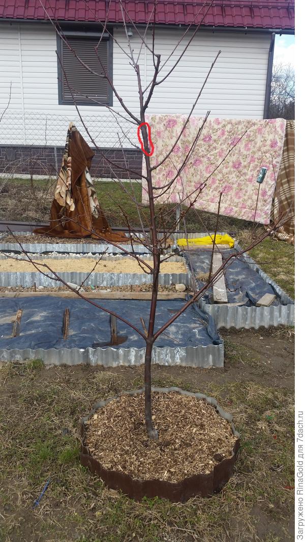 Больное место.