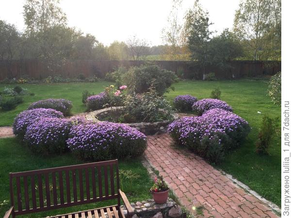 Любимый дачный уголок особенно красив осенью,когда цветет бордюрная астра))