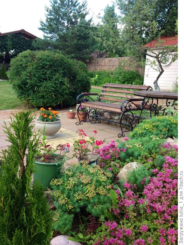 Мое любимое место в саду с другого ракурса)
