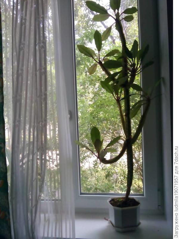 2 определить название