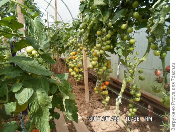 Прошлый год