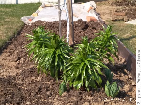 А это на сегодня