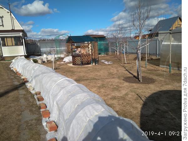 Туннель с розами.