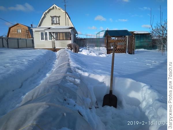 В особо снежные зимы приходится отгребать снег, что бы не было лишней нагрузки на укрытие.